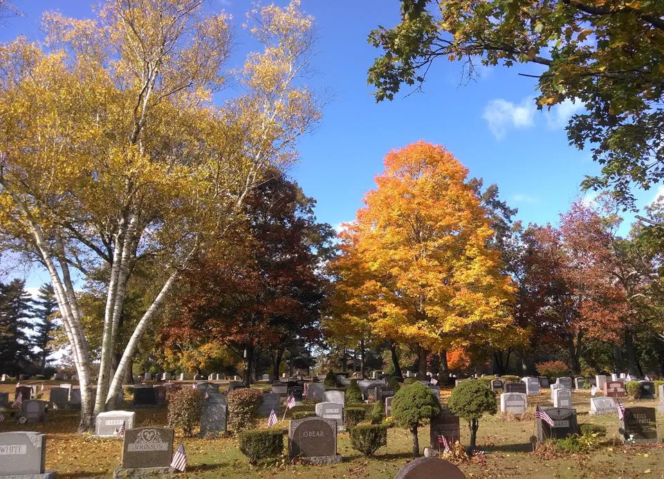 PR Fall Pic